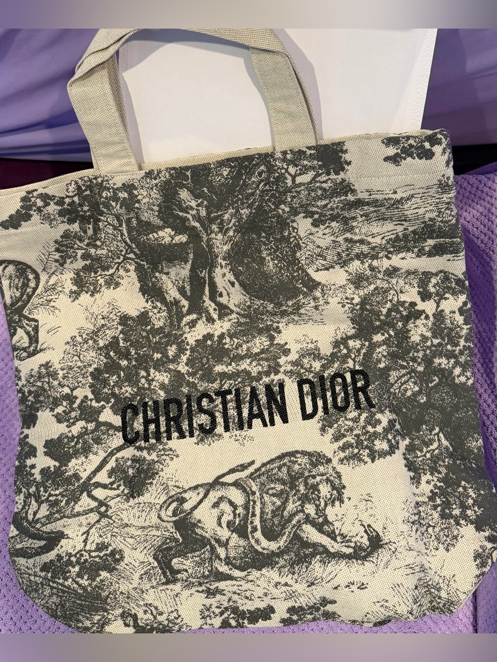 Dior Beige and Black Toile Messenger Tote